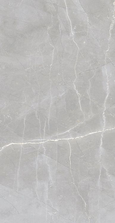 Luxury Amani Grey Matte 24 x 48